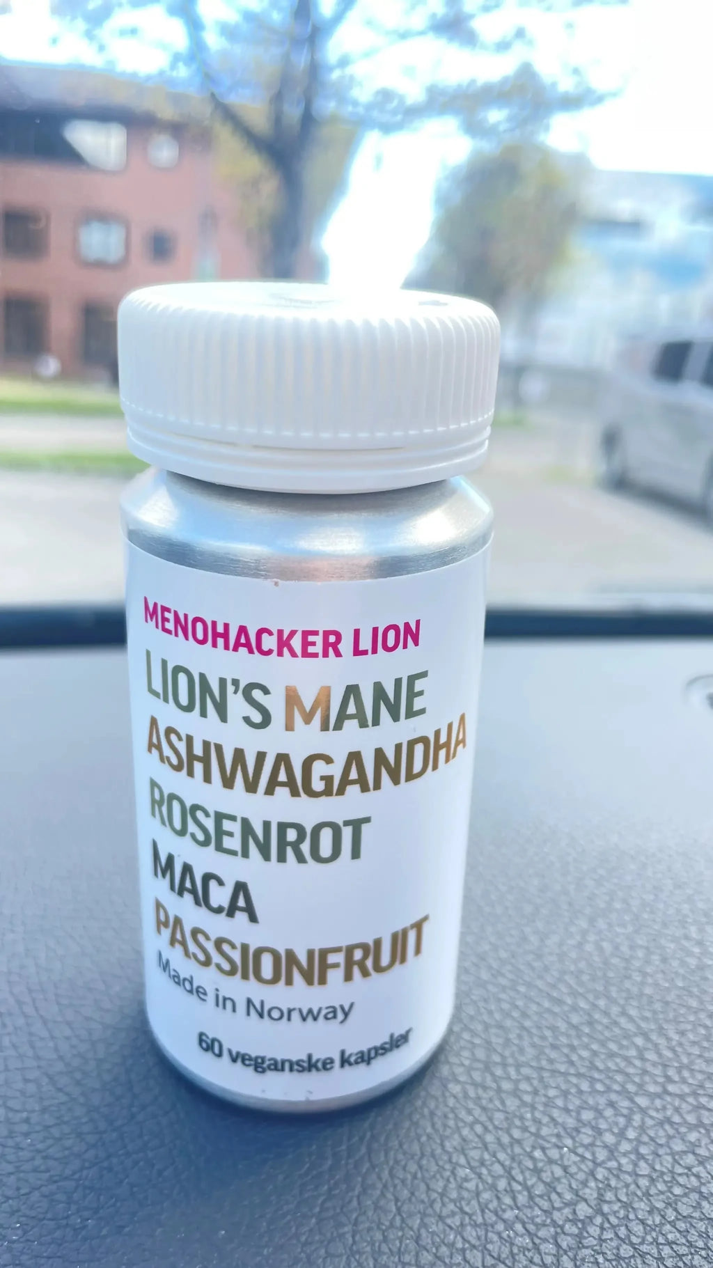 Menohacker Lion